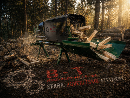 Holzspalter mit